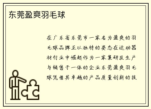 东莞盈爽羽毛球