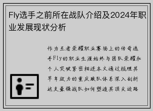 Fly选手之前所在战队介绍及2024年职业发展现状分析